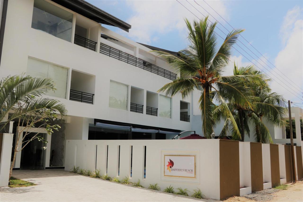Daffodils Hotel 4*